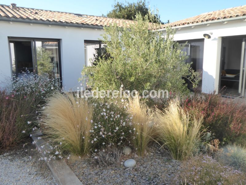 Photo 30 : JARDIN d'une maison située à Loix, île de Ré.