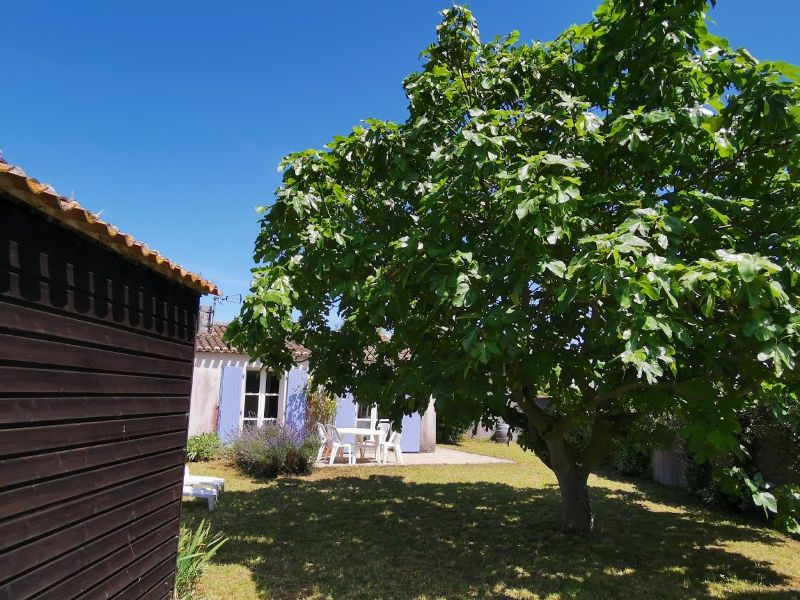 Photo 16 : NC d'une maison située à Les Portes-en-Ré, île de Ré.