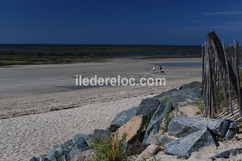 Photo 10 : EXTERIEUR d'une maison située à La Couarde-sur-mer, île de Ré.