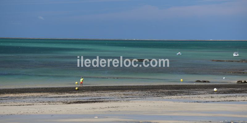 Photo 1 : AUTRE d'une maison située à La Couarde-sur-mer, île de Ré.