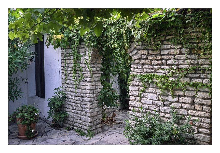 Photo 24 : NC d'une maison située à La Couarde-sur-mer, île de Ré.