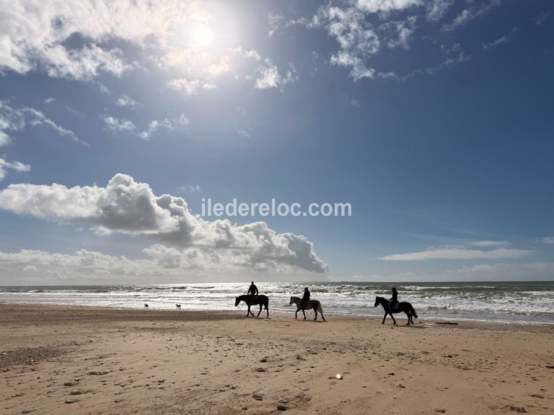 Photo 31 : AUTRE d'une maison situ&eacute;e &agrave; Le Bois-Plage-en-R&eacute;, &icirc;le de R&eacute;.