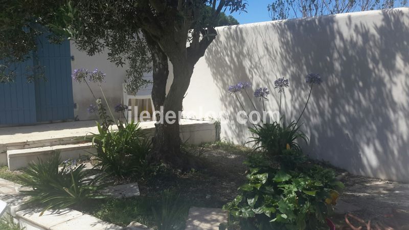 Photo 7 : NC d'une maison située à Le Bois-Plage-en-Ré, île de Ré.