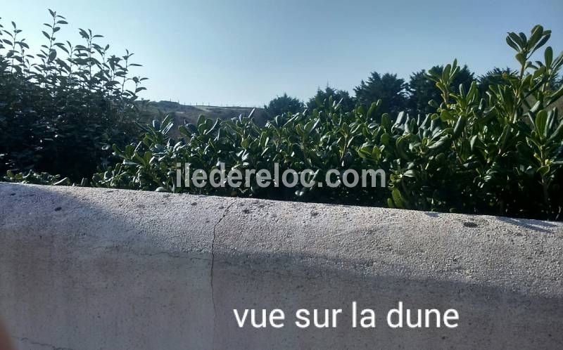 Photo 16 : PATIO d'une maison située à Le Bois-Plage-en-Ré, île de Ré.