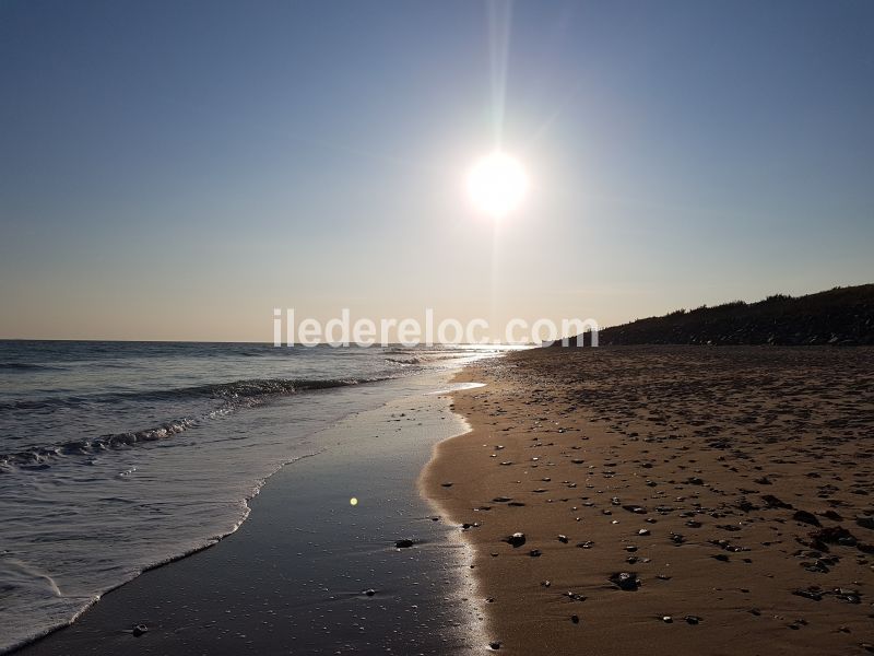 Photo 27 : NC d'une maison située à La Couarde-sur-mer, île de Ré.