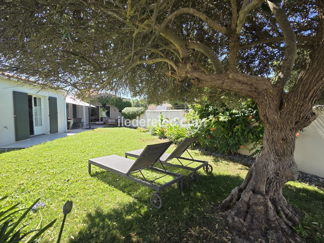 Photo 4 : JARDIN d'une maison situ&eacute;e &agrave; La Couarde-sur-mer, &icirc;le de R&eacute;.