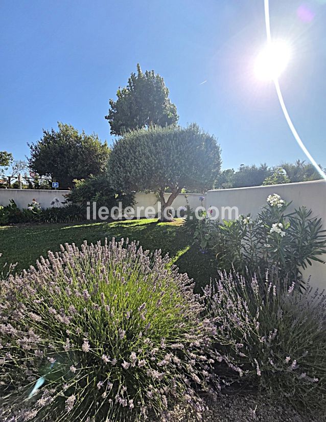 Photo 7 : JARDIN d'une maison situ&eacute;e &agrave; La Couarde-sur-mer, &icirc;le de R&eacute;.