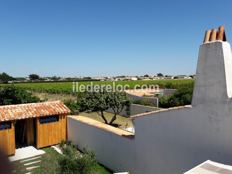 Photo 23 : EXTERIEUR d'une maison située à Saint-Clément-des-Baleines, île de Ré.