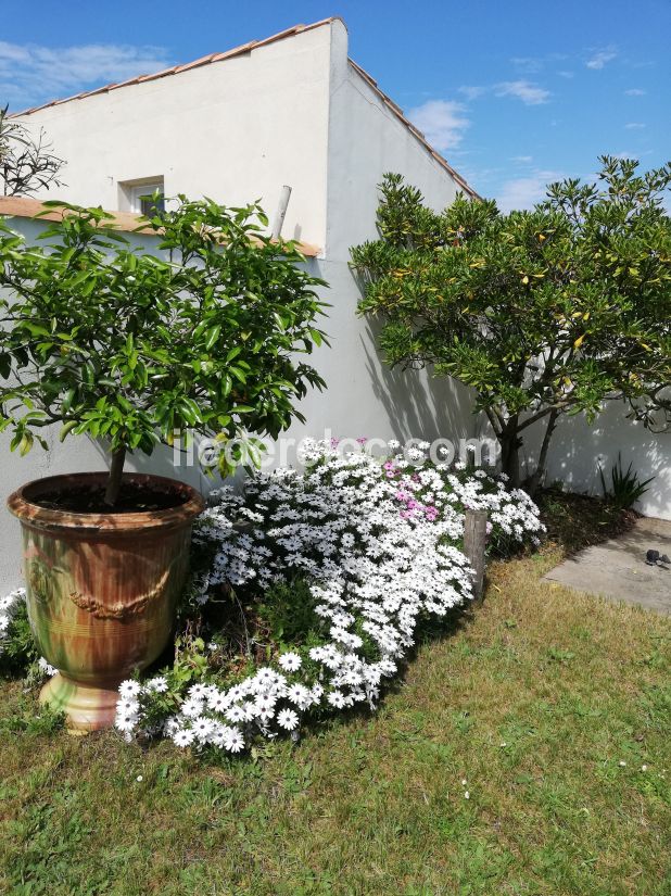 Photo 33 : NC d'une maison située à Saint-Clément-des-Baleines, île de Ré.