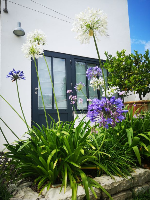 Photo 32 : NC d'une maison située à Saint-Clément-des-Baleines, île de Ré.