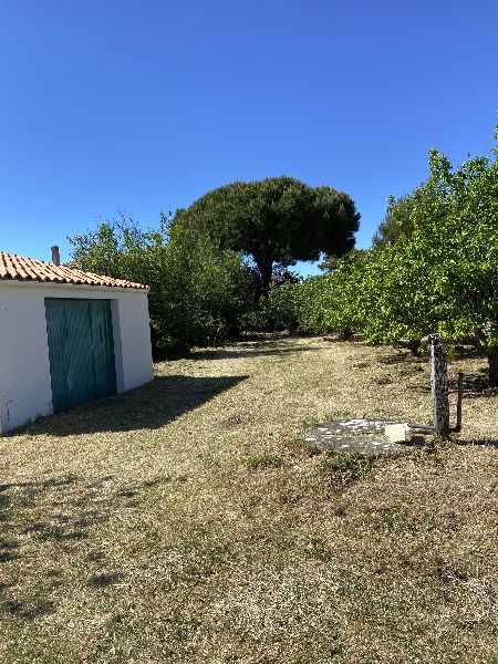 Photo 4 : EXTERIEUR d'une maison située à La Couarde-sur-mer, île de Ré.