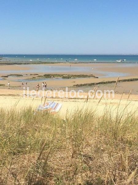 Photo 19 : NC d'une maison située à Loix, île de Ré.