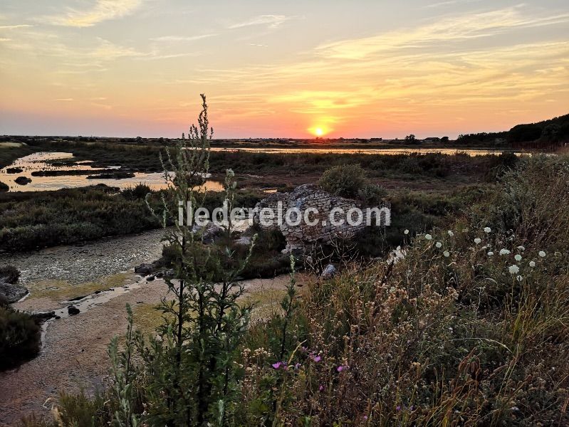 Photo 21 : NC d'une maison située à Loix, île de Ré.