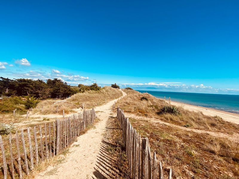 Photo 32 : AUTRE d'une maison située à Le Bois-Plage-en-Ré, île de Ré.