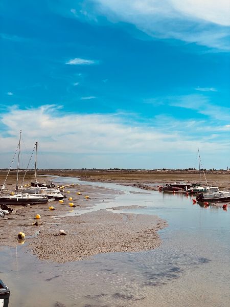 Photo 36 : NC d'une maison située à Le Bois-Plage-en-Ré, île de Ré.