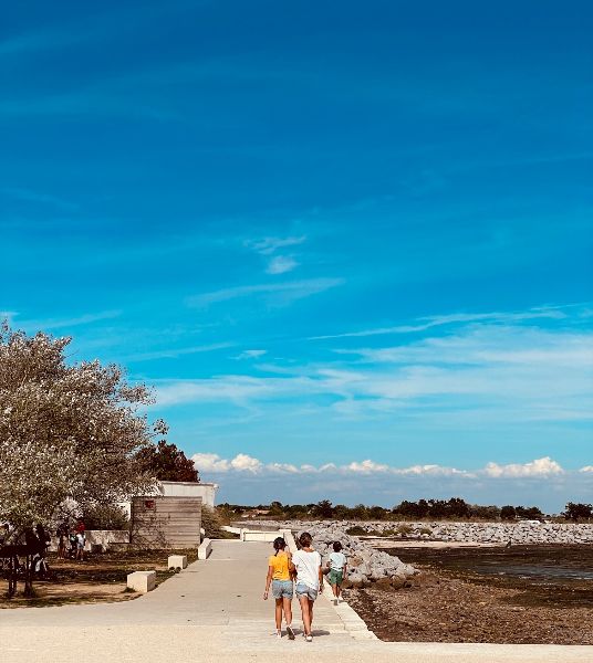 Photo 38 : NC d'une maison située à Le Bois-Plage-en-Ré, île de Ré.