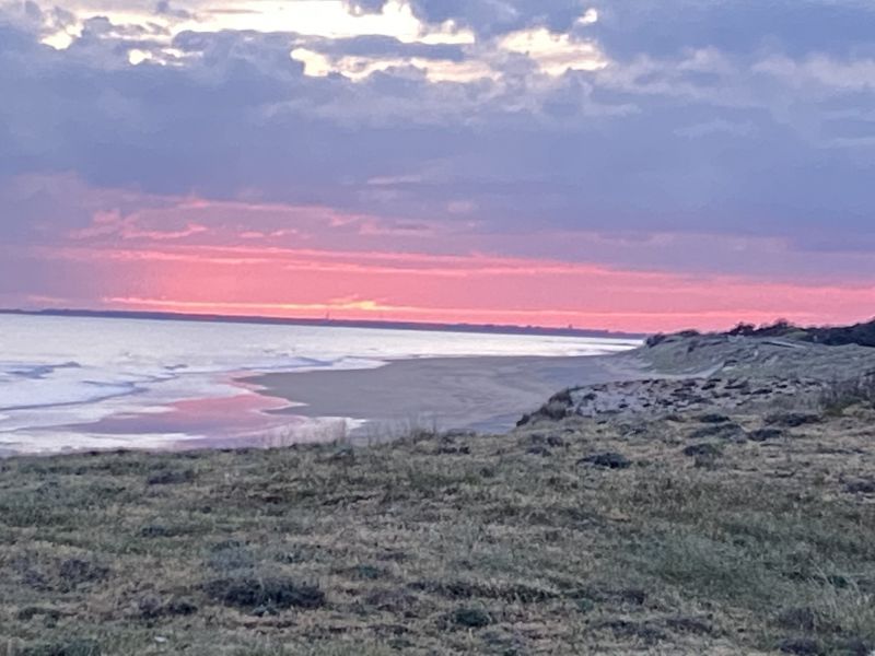 Photo 28 : AUTRE d'une maison située à Le Bois-Plage-en-Ré, île de Ré.