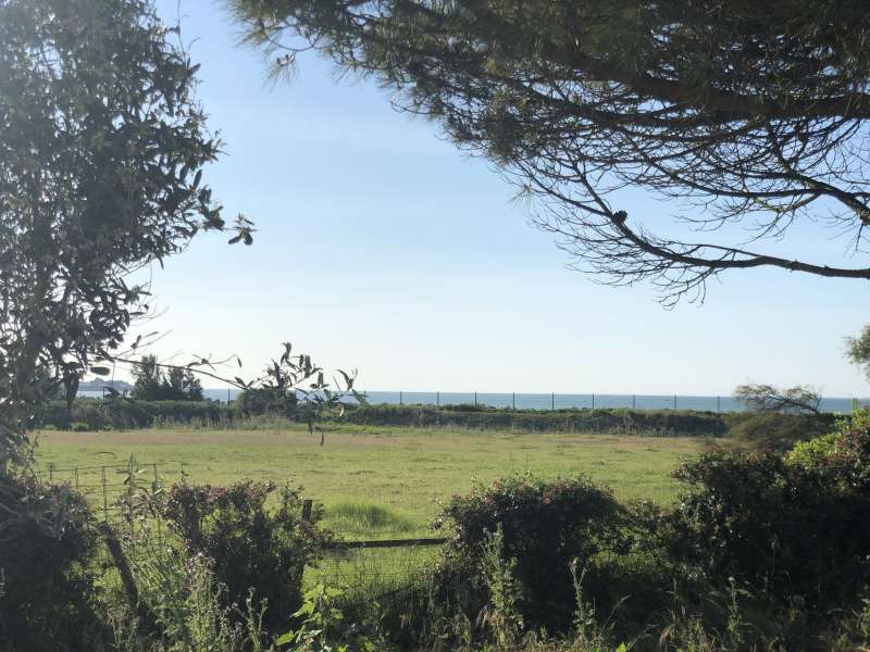 Photo 5 : EXTERIEUR d'une maison située à La Flotte-en-Ré, île de Ré.