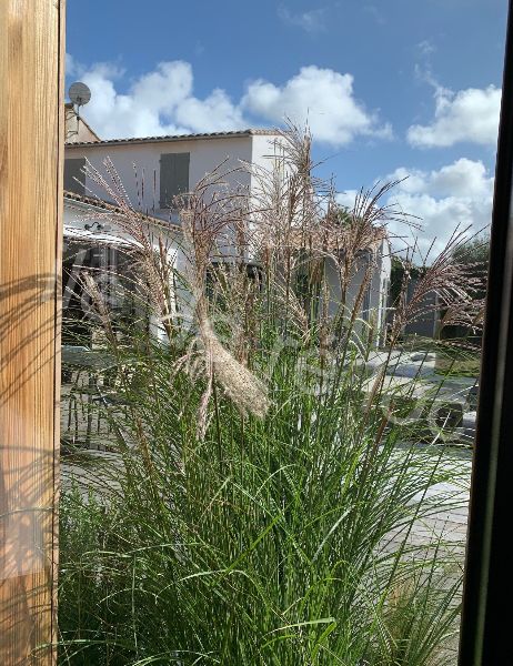 Photo 36 : JARDIN d'une maison située à Le Bois-Plage-en-Ré, île de Ré.