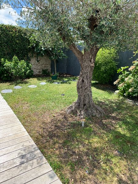 Photo 39 : JARDIN d'une maison située à Le Bois-Plage-en-Ré, île de Ré.