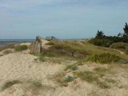 Photo 26 : NC d'une maison située à Sainte-Marie, île de Ré.