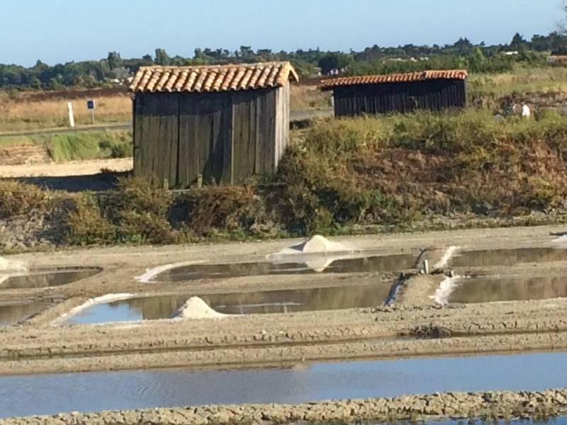 Photo 25 : NC d'une maison située à Loix, île de Ré.