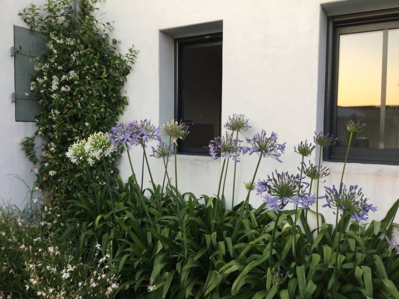 Photo 9 : NC d'une maison située à Loix, île de Ré.