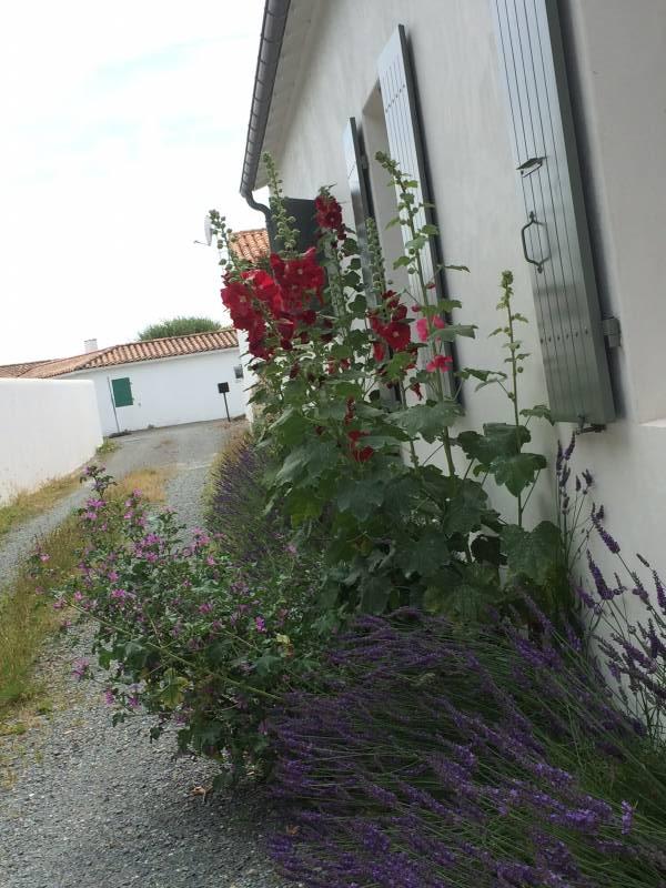 Photo 2 : NC d'une maison située à Loix, île de Ré.