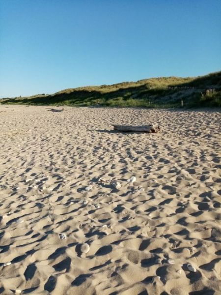 Photo 18 : EXTERIEUR d'une maison située à Le Bois-Plage-en-Ré, île de Ré.