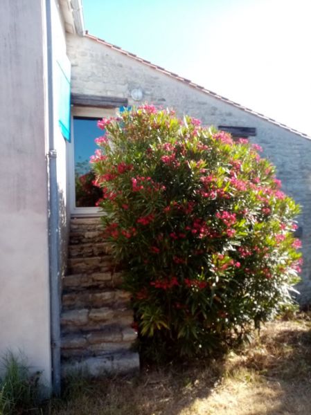 Photo 16 : EXTERIEUR d'une maison située à Le Bois-Plage-en-Ré, île de Ré.