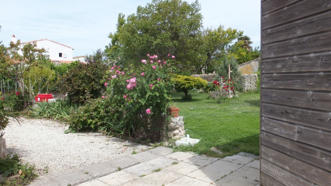 Photo 18 : JARDIN d'une maison située à Ars en Ré, île de Ré.