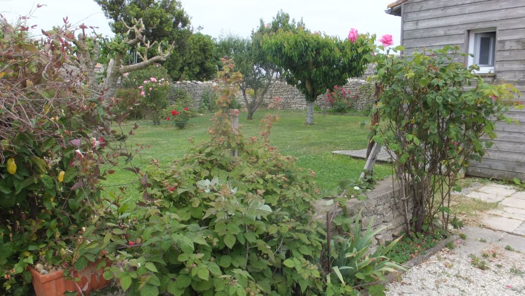 Photo 20 : JARDIN d'une maison située à Ars en Ré, île de Ré.