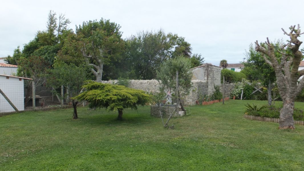 Photo 22 : JARDIN d'une maison située à Ars en Ré, île de Ré.