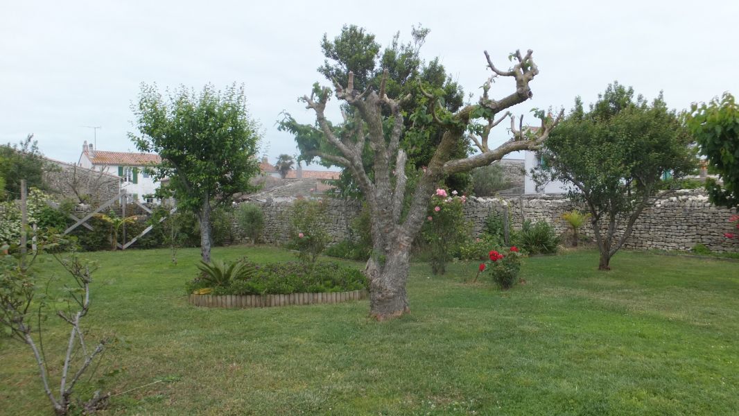 Photo 23 : JARDIN d'une maison située à Ars en Ré, île de Ré.