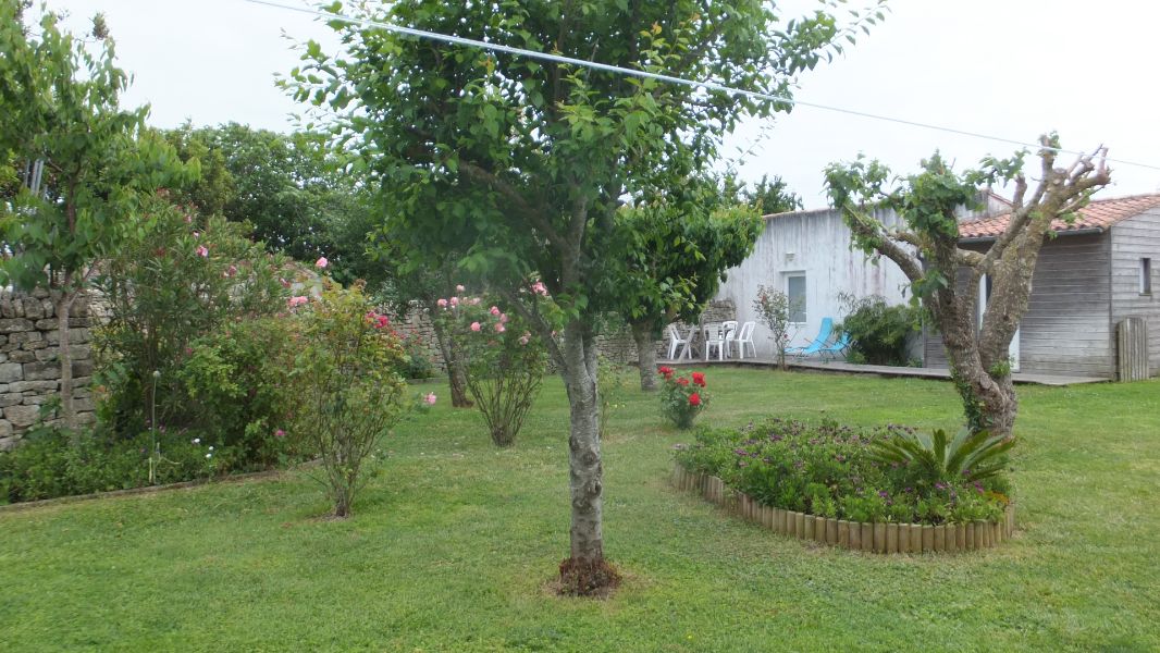 Photo 26 : JARDIN d'une maison située à Ars en Ré, île de Ré.