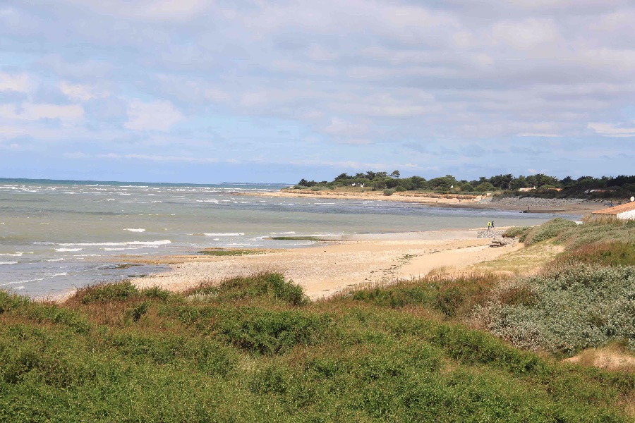 Photo 15 : AUTRE d'une maison située à Sainte-Marie, île de Ré.