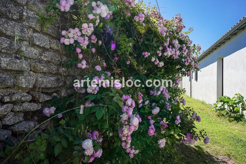 Photo 33 :  d'une maison située à Saint-Clément-des-Baleines, île de Ré.