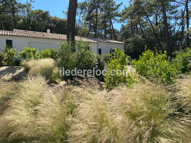 Photo 39 : JARDIN d'une maison située à La Couarde-sur-mer, île de Ré.