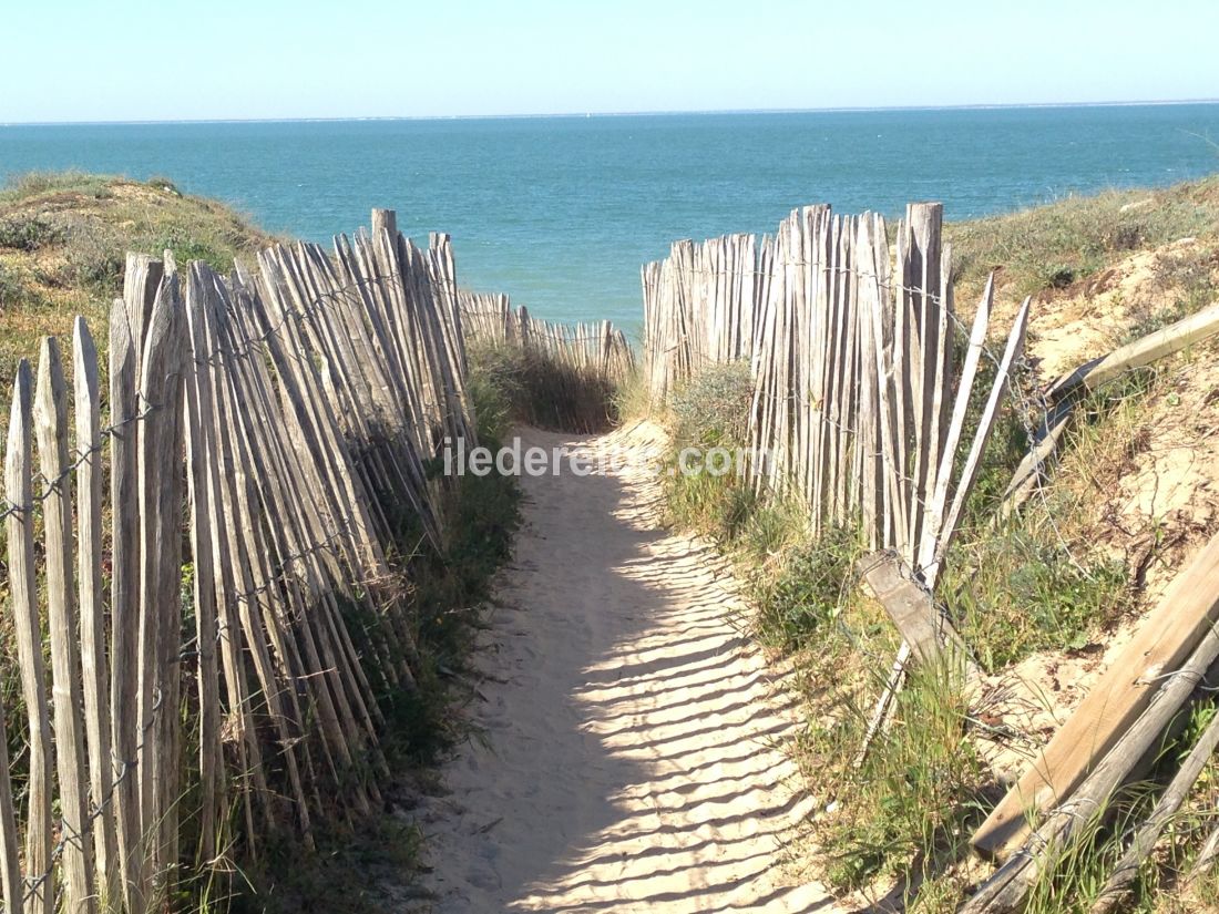 Photo 10 : NC d'une maison située à Saint-Clément-des-Baleines, île de Ré.