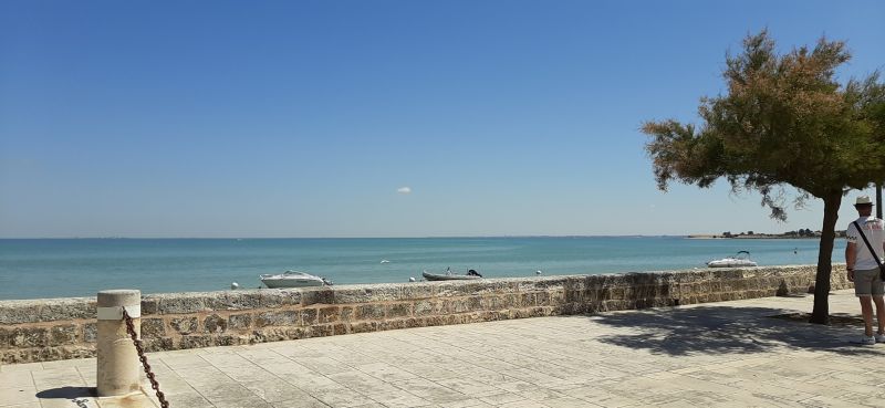 Photo 8 : AUTRE d'une maison située à La Flotte-en-Ré, île de Ré.