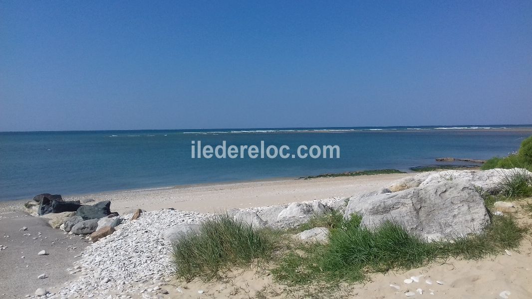 Photo 20 : AUTRE d'une maison située à Ars en Ré, île de Ré.