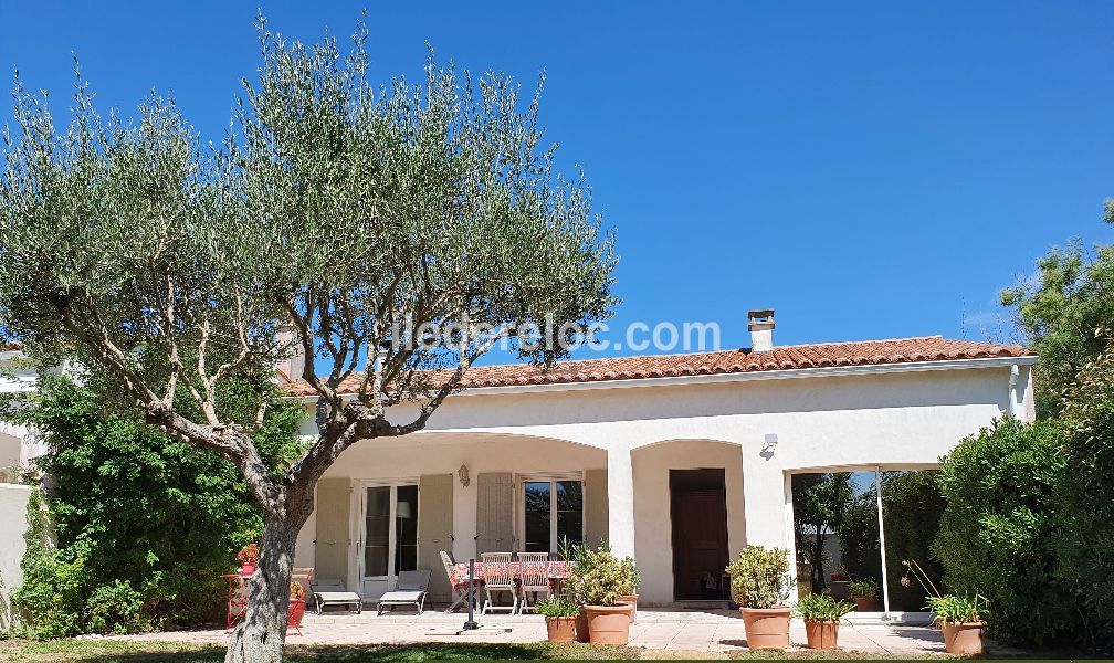 Photo 1 : TERRASSE d'une maison située à Ars en Ré, île de Ré.