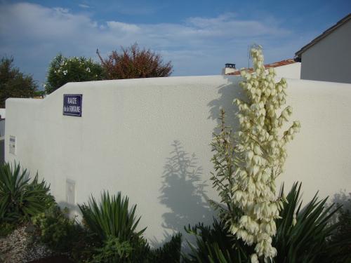 Photo 12 : NC d'une maison située à La Flotte-en-Ré, île de Ré.