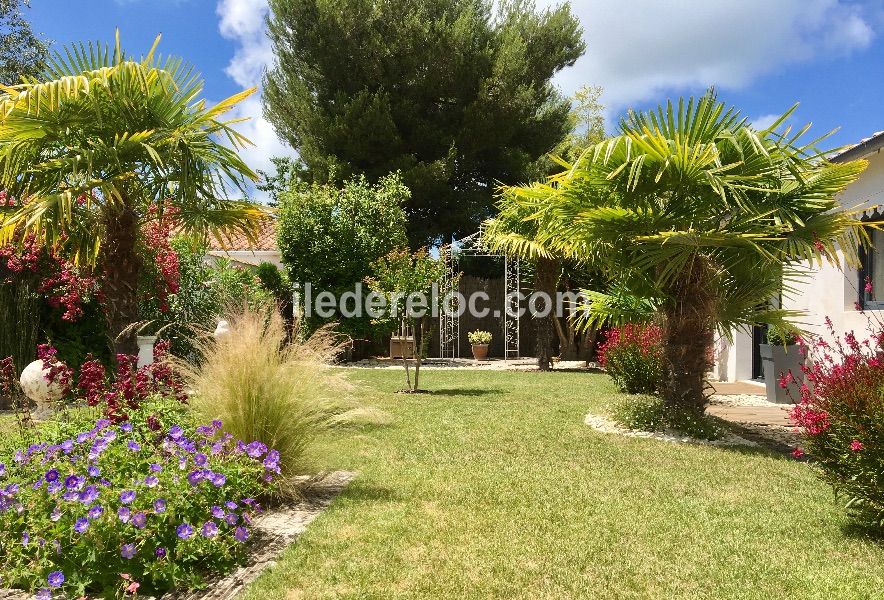 Photo 2 : JARDIN d'une maison située à Saint-Martin-de-Ré, île de Ré.