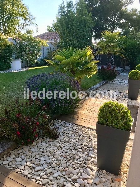 Photo 5 : JARDIN d'une maison située à Saint-Martin-de-Ré, île de Ré.