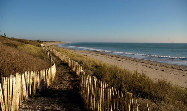 Photo 23 : EXTERIEUR d'une maison située à La Couarde-sur-mer, île de Ré.