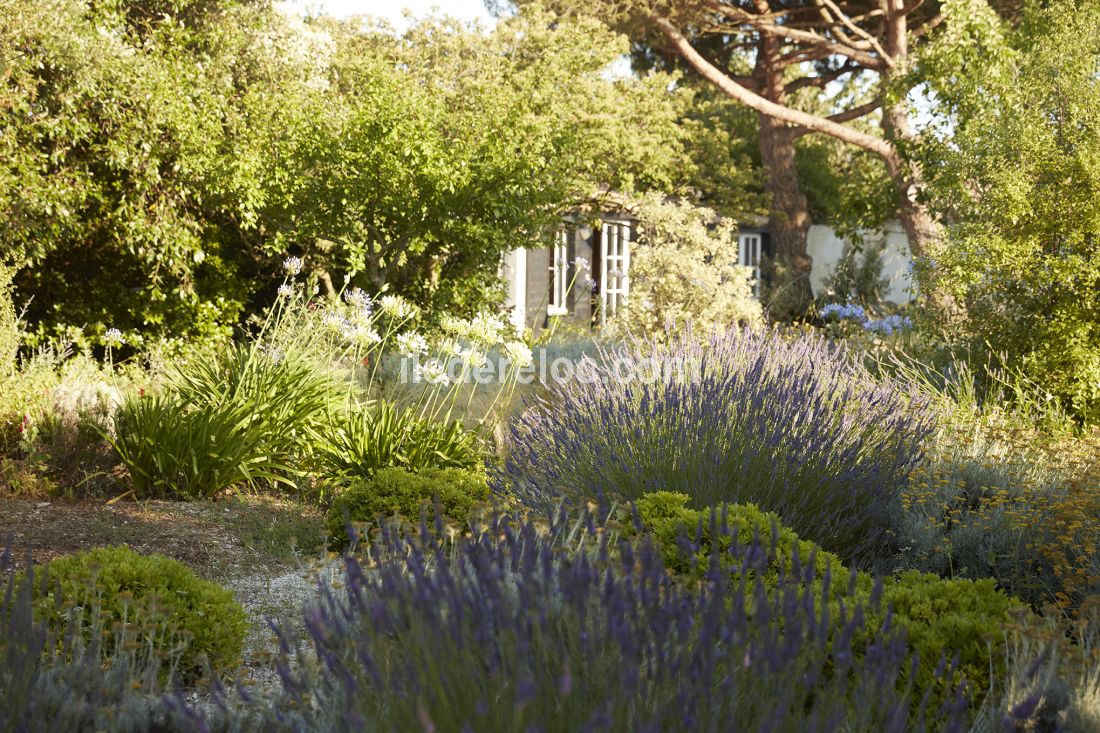 Photo 7 : NC d'une maison située à Loix, île de Ré.