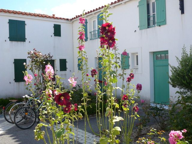 Photo 23 : NC d'une maison située à Ars, île de Ré.