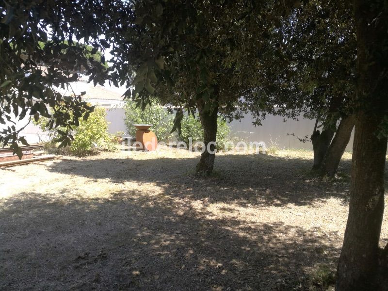 Photo 14 : JARDIN d'une maison située à La Couarde-sur-mer, île de Ré.