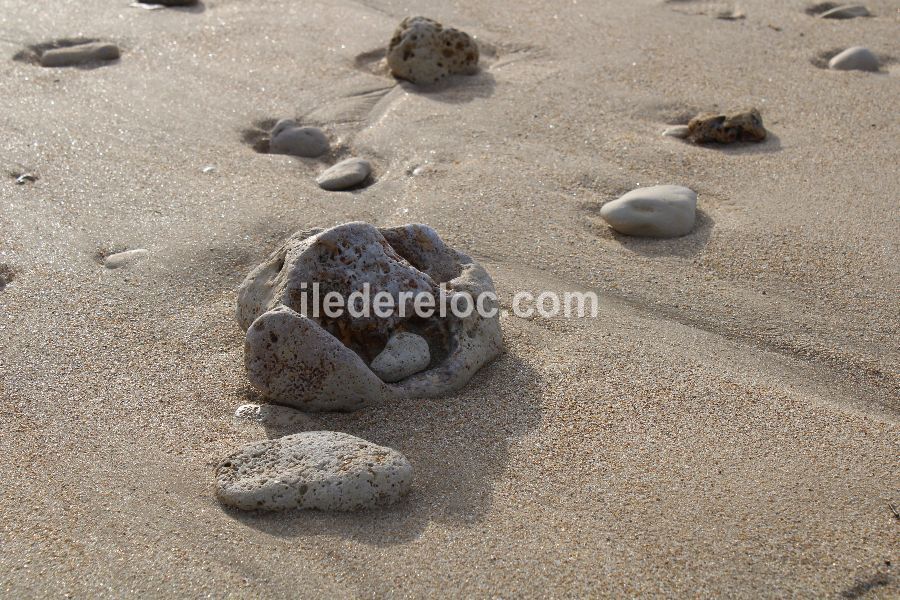 Photo 22 : AUTRE d'une maison située à Le Bois-Plage-en-Ré, île de Ré.